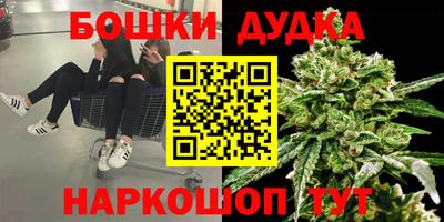 шишки Конаково