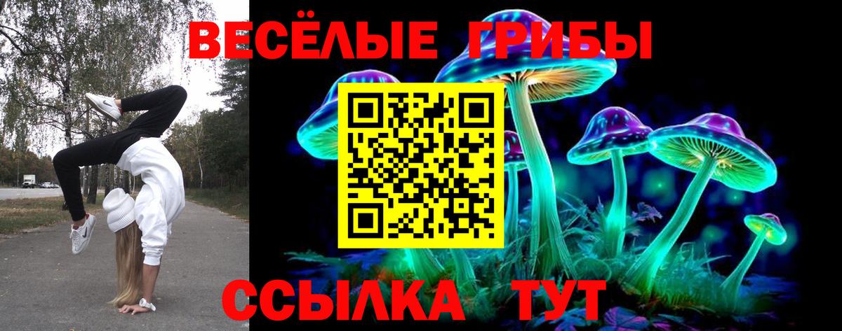 Галлюциногенные грибы Cubensis  Вход с VPN  Среднеуральск  Псилоцибиновые грибы GOLDEN TEACHER 